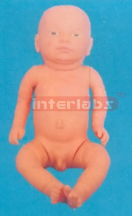 THE STANDARD BORN FETUS (A TYPE)